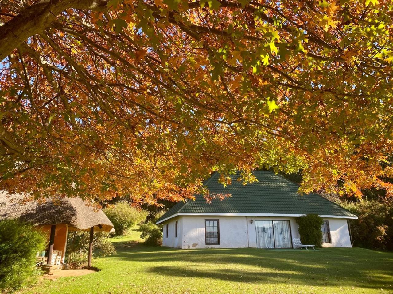 Pear Tree Cottage-Underberg Exterior photo