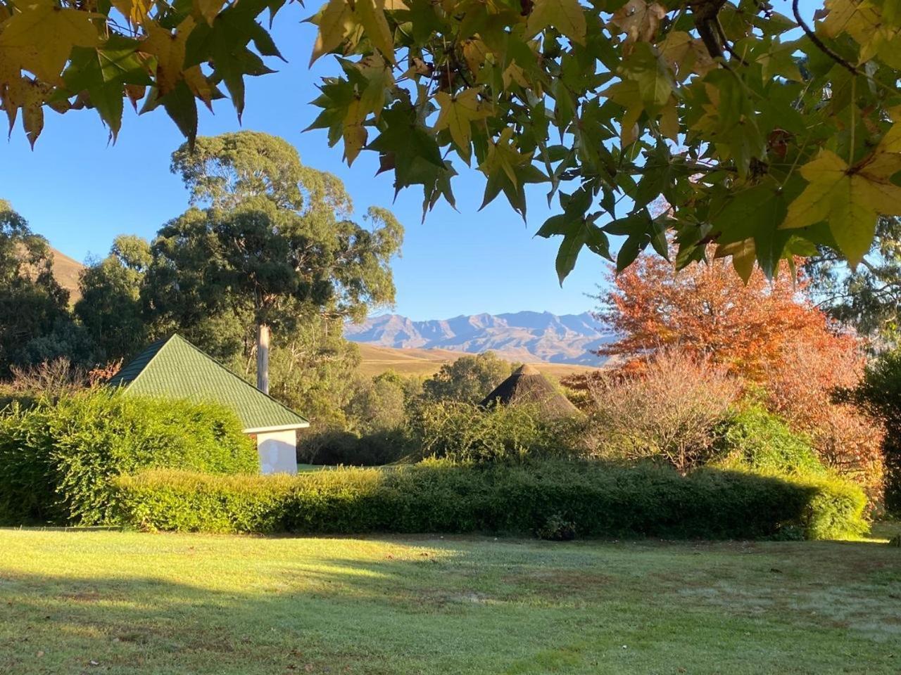 Pear Tree Cottage-Underberg Exterior photo